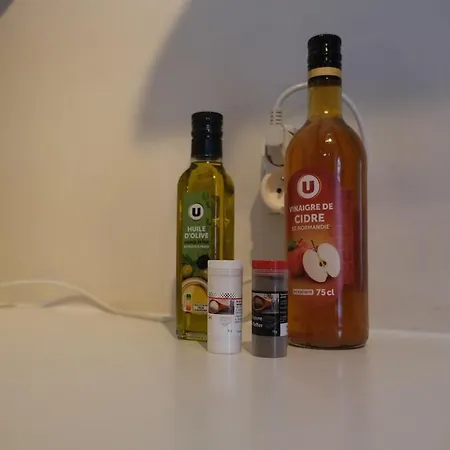 Le Cocon Douillet Apartment