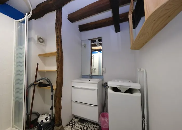 Le Cocon Douillet Apartment *