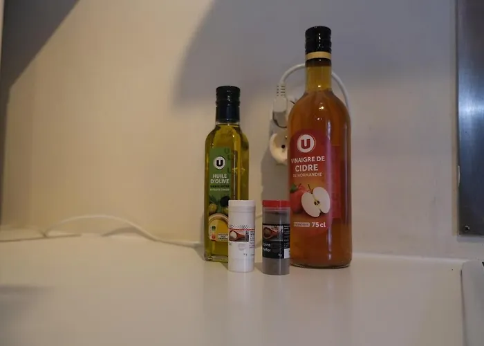 Le Cocon Douillet Apartment